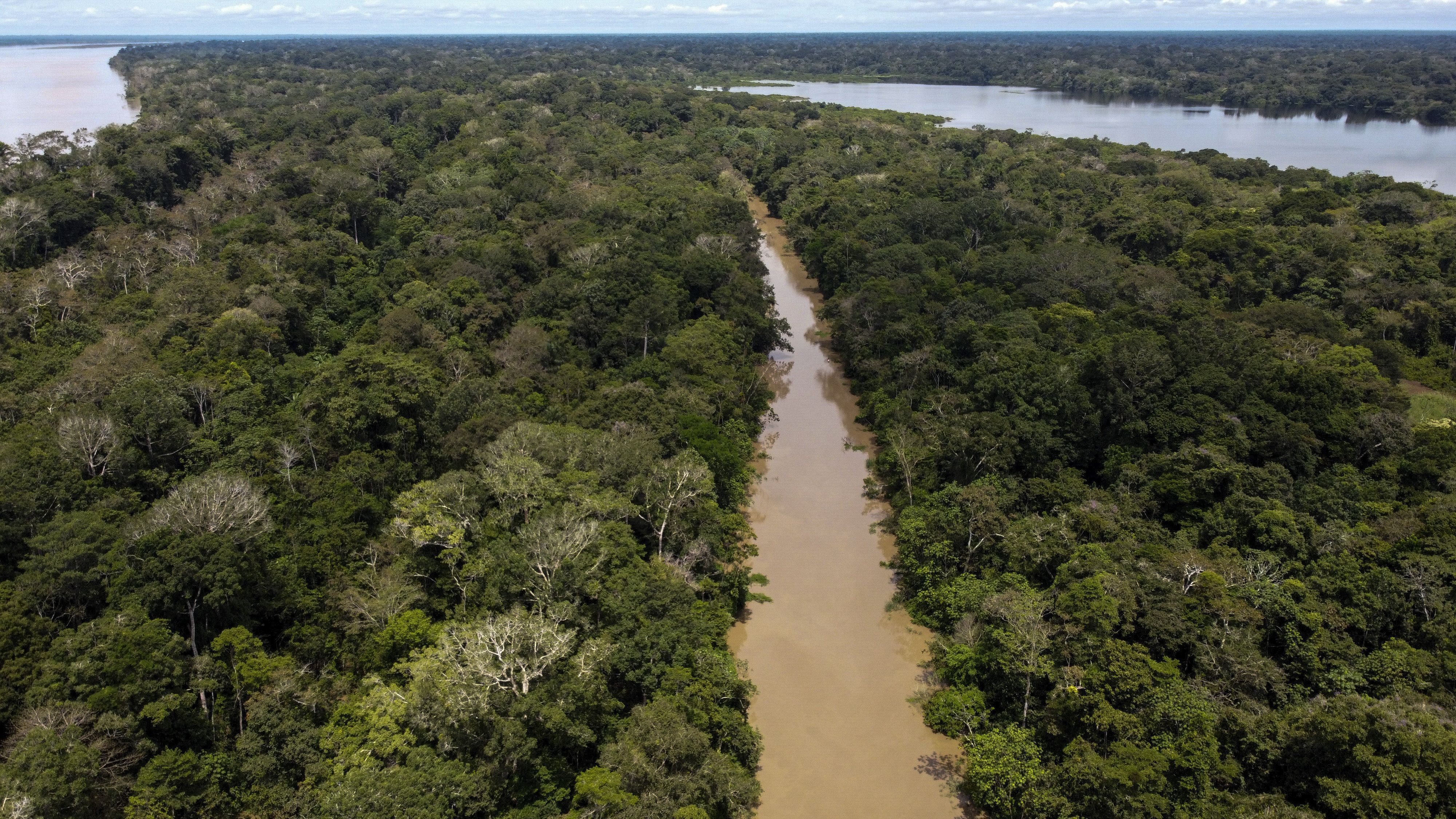 Pesquisa com bactérias na Amazônia pode desenvolver novos medicamentos