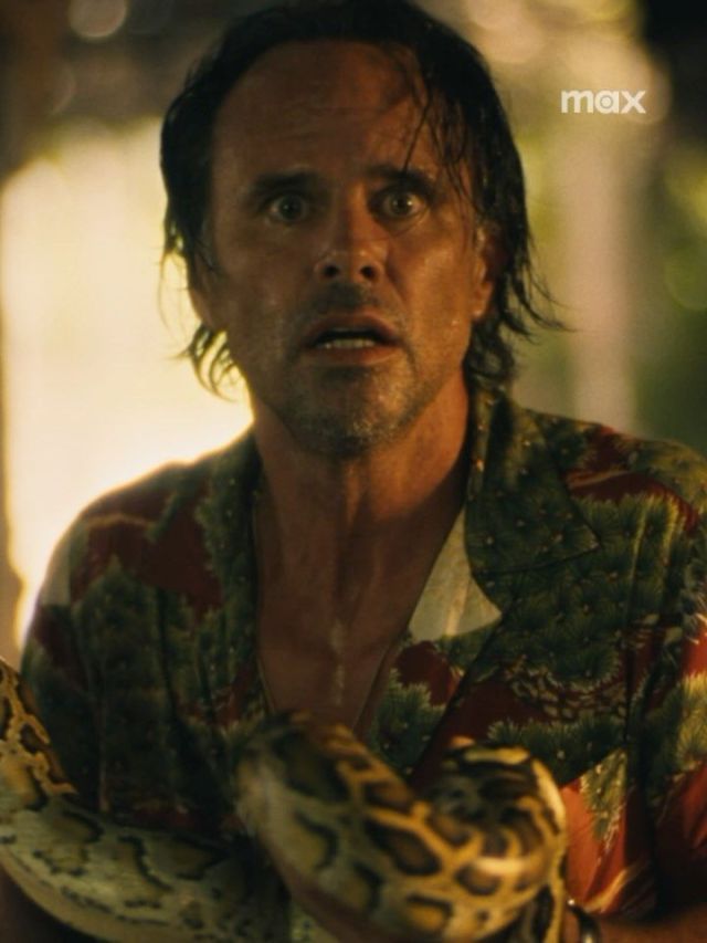 Ator de “The White Lotus” foi picado por cobra em gravações da série
