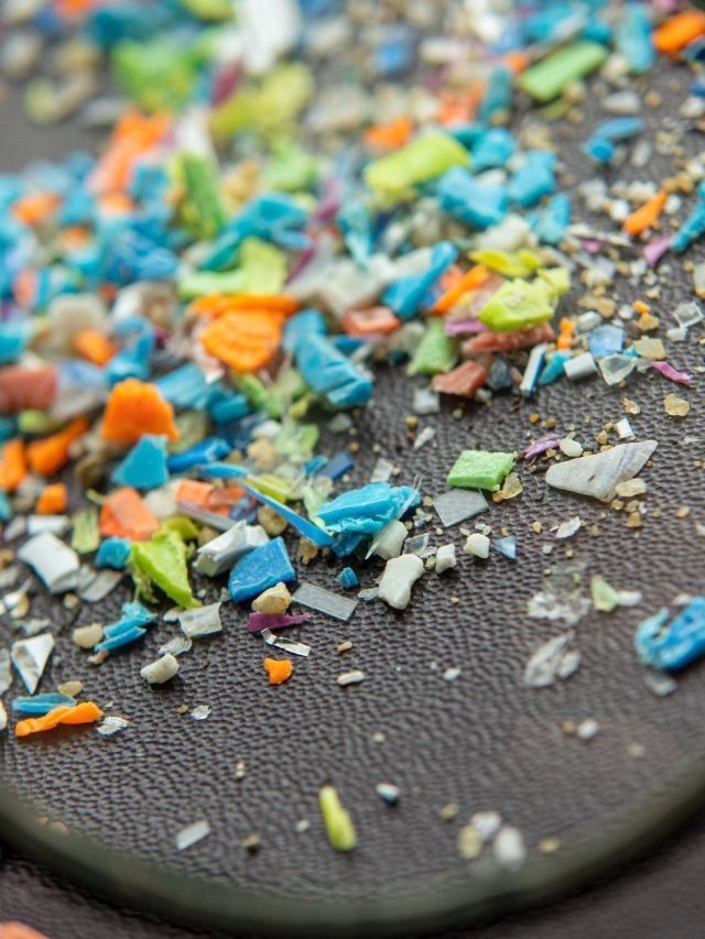 Estudo: Microplásticos fortalecem bactérias resistentes a antibióticos